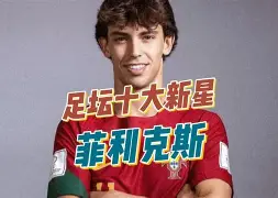 中国九游体育-“当红球星分享经验，启发年轻一代！”的简单介绍
