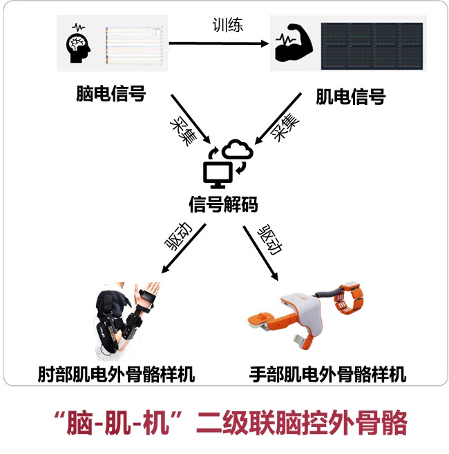 九游体育官网首页-运动损伤预防新突破：可穿戴设备提前预警的简单介绍